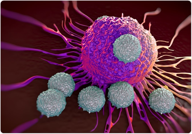 T Cells Attacking