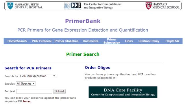 Real-Time PCR：從原理到步驟詳解、再到終極數據分析