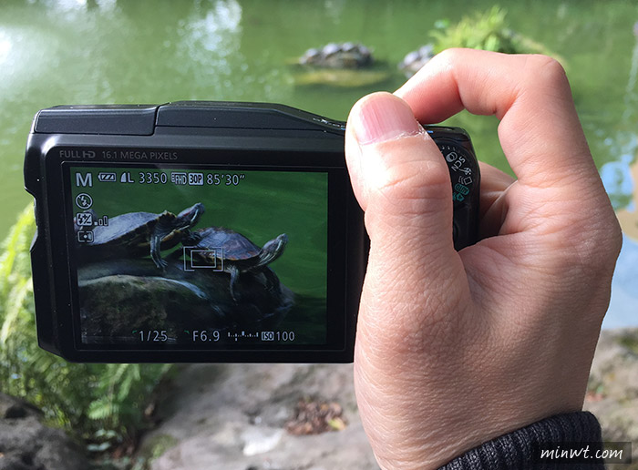 梅問題-《Canon SX700HS》30倍光學變焦五軸防手震打鳥利器