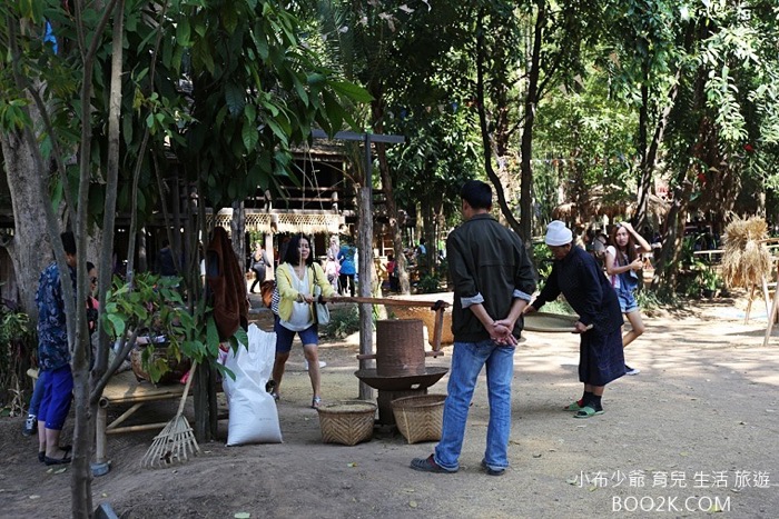 梅問題-[泰國自助]AK TRAVEL季節限定-金湯普森泰絲有機農場