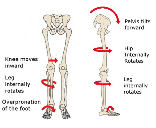 Image result for Knee hip rotation