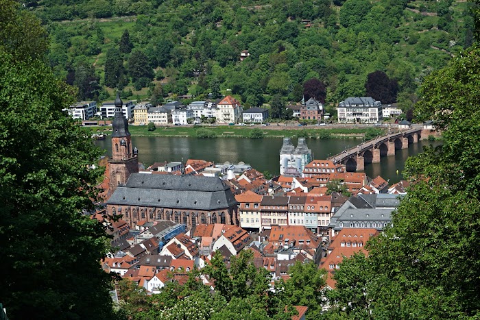 《德國》Heidelberg｜居高臨下的海德堡城堡。哲學家小