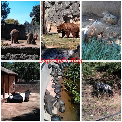 瓜京動物園亞洲區