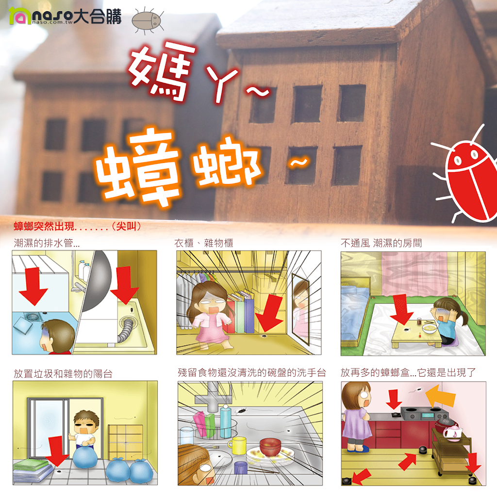 萬惡的小強、偉大的蟑螂