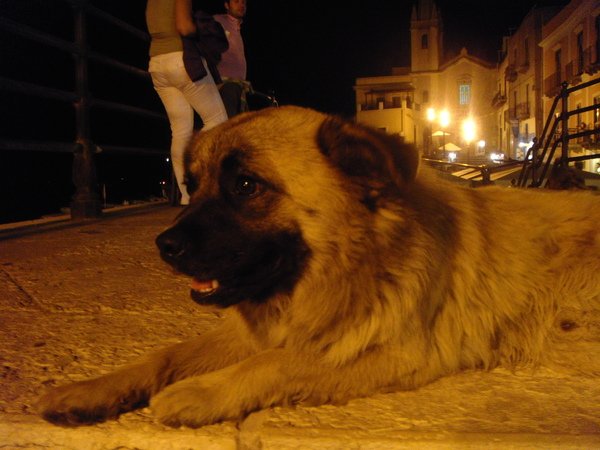 Lipari night life 禮帕利島夜生活