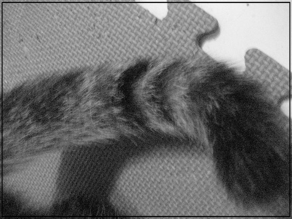 09.jpg