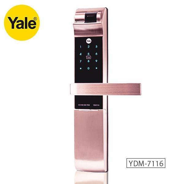 YDM7116-650.jpg