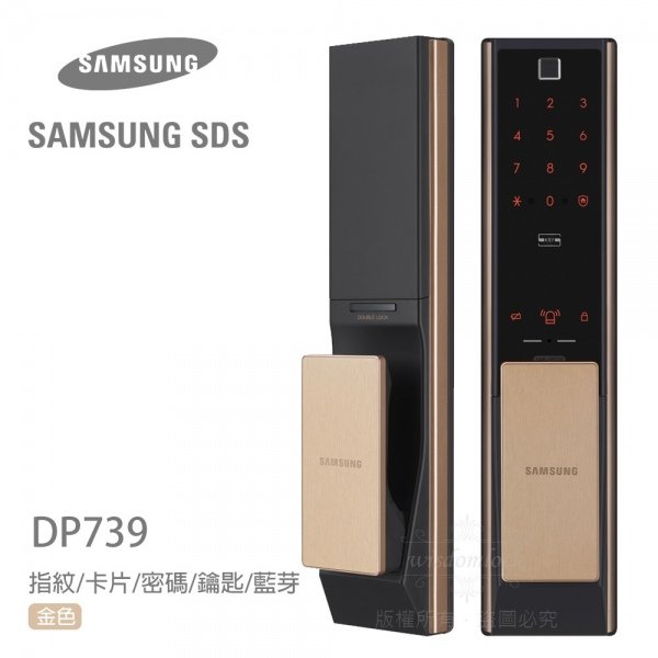 DP739電子鎖.jpg