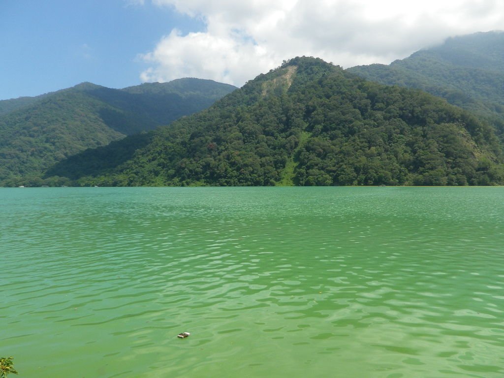 IMGP9156.JPG