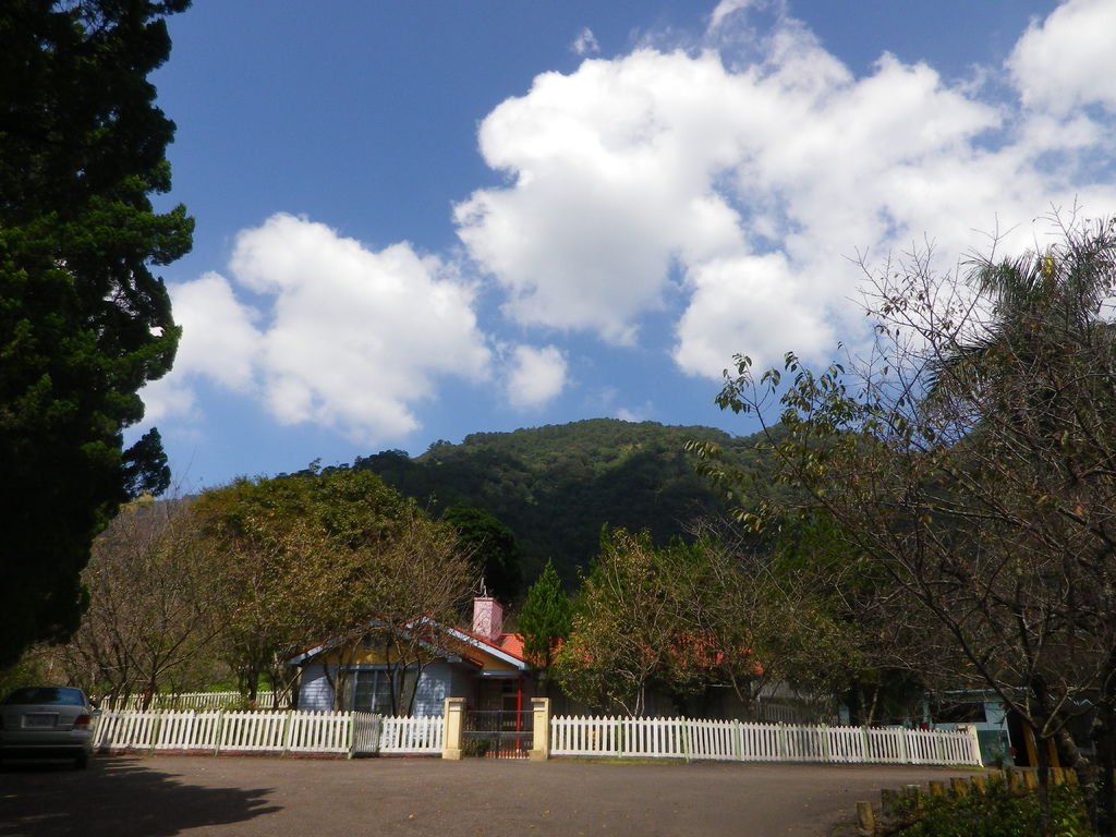IMGP9133.JPG