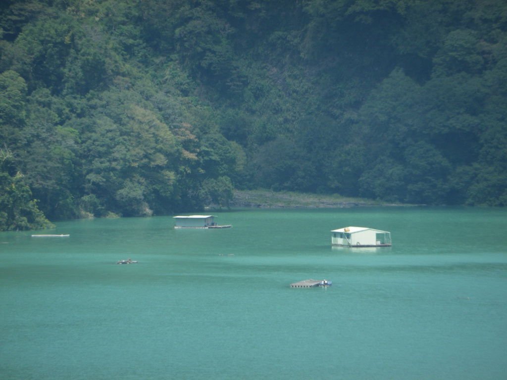 IMGP9139.JPG