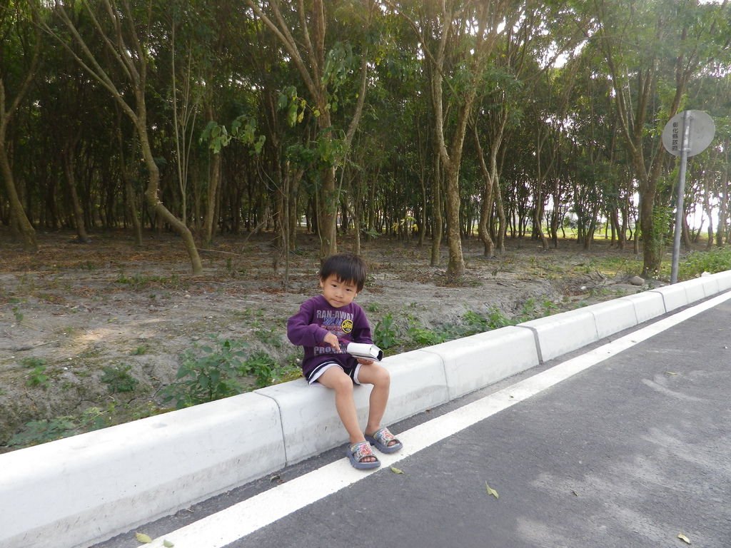 IMGP9502.JPG