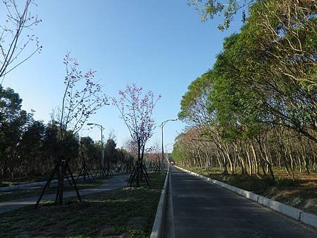 IMGP2503.JPG