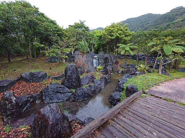 【來去奄美大島住十晚-6】 奄美大島的自然景點與野生動物