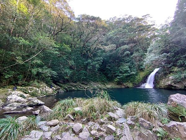 【來去奄美大島住十晚-6】 奄美大島的自然景點與野生動物