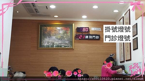 IMG_20170120_143359.jpg
