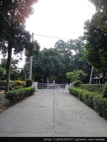 DSC02651