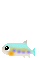 image447