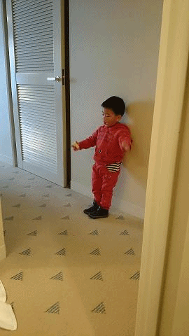 anigif.gif