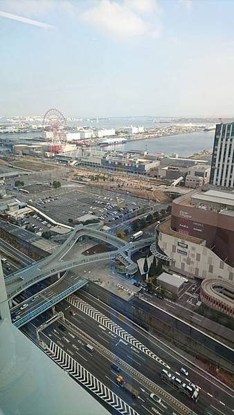 DSC_3102.JPG