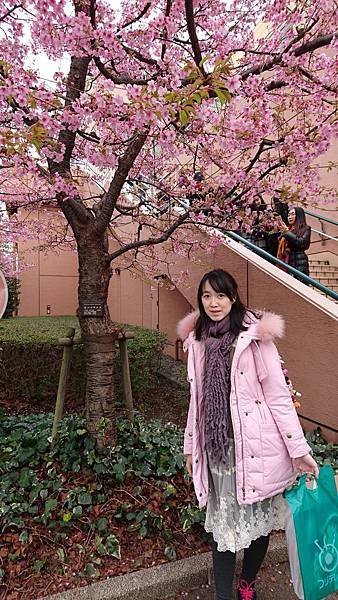 DSC_3121.JPG