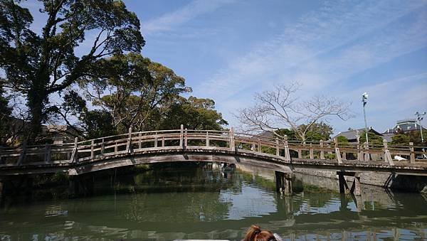 DSC_9686.JPG
