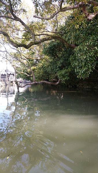 DSC_9702.JPG