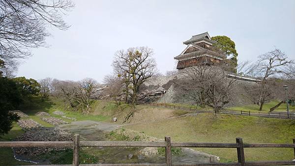 DSC_9857.JPG