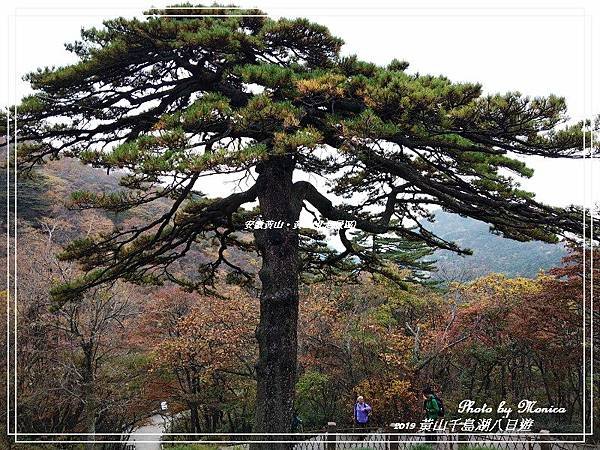 安徽黃山。黃山(北海景區)(4).jpg