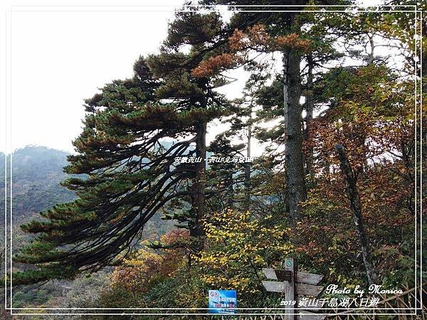 安徽黃山。黃山(北海景區)(16).jpg