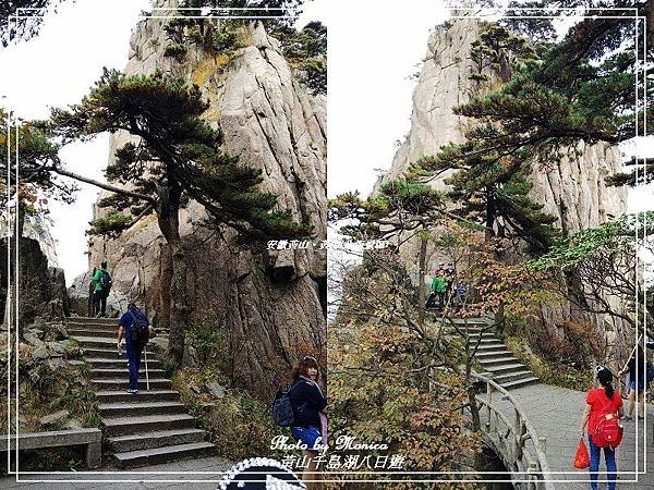 安徽黃山。黃山(北海景區)(29).jpg