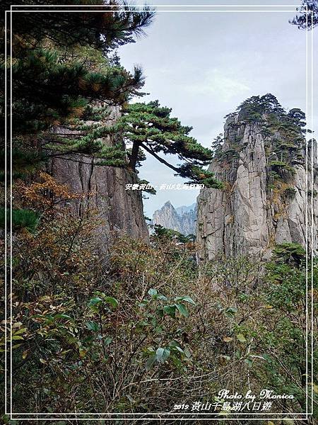 安徽黃山。黃山(北海景區)(30).jpg