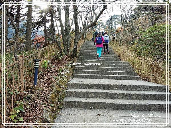 安徽黃山。黃山(北海景區)(35).jpg