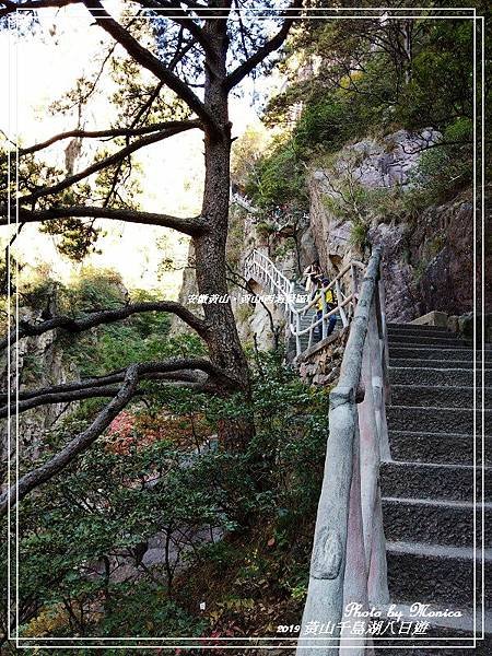 安徽黃山。黃山(西海景區)(15).jpg