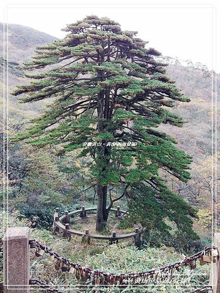 安徽黃山。黃山(西海景區)(35).jpg