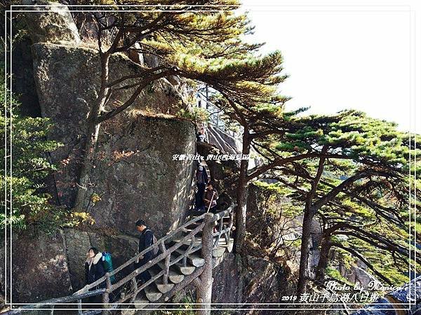 安徽黃山。黃山(西海景區)(40).jpg