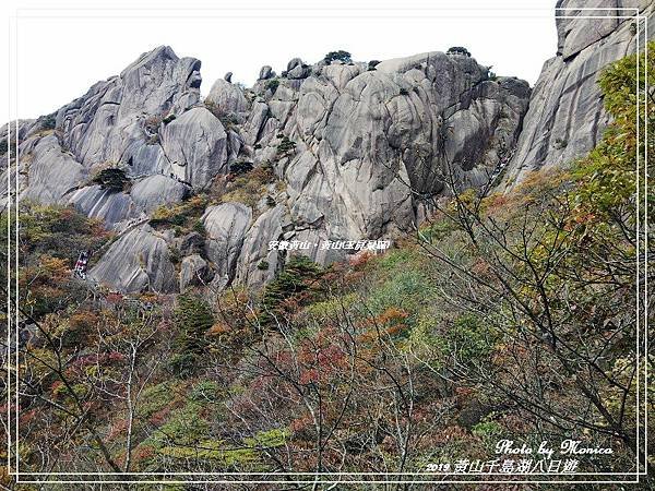 安徽黃山。黃山(玉屏景區)(16).jpg