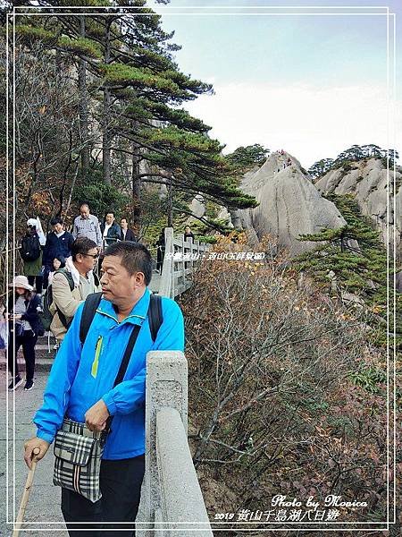 安徽黃山。黃山(玉屏景區)(38).jpg