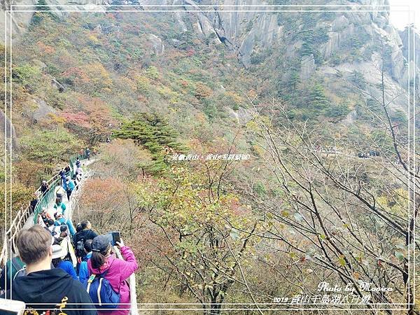 安徽黃山。黃山(玉屏景區)(41).jpg