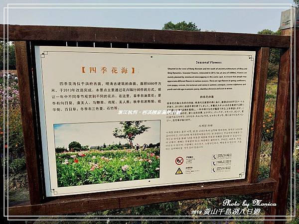 浙江杭州。西溪國家濕地公園(9).jpg