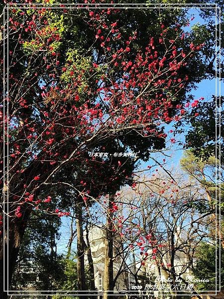 日本東京。布多天神社(1).jpg