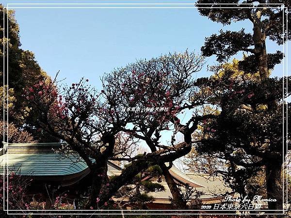 日本東京。布多天神社(7).jpg