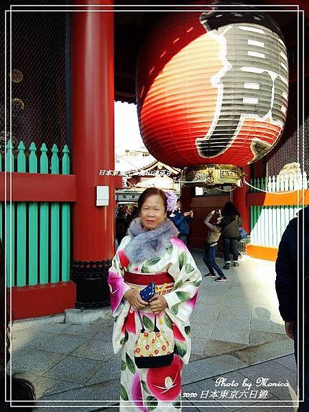 日本東京。金龍山淺草寺(26).jpg