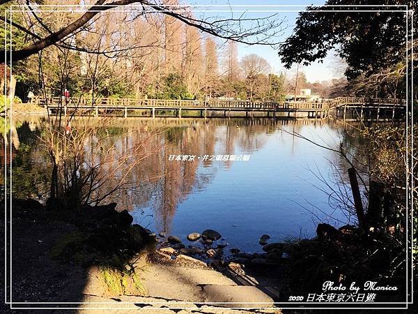 日本東京。井之頭恩賜公園(19).jpg