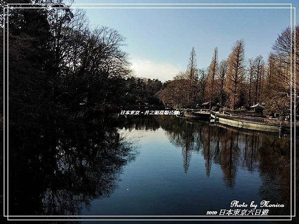 日本東京。井之頭恩賜公園(21).jpg