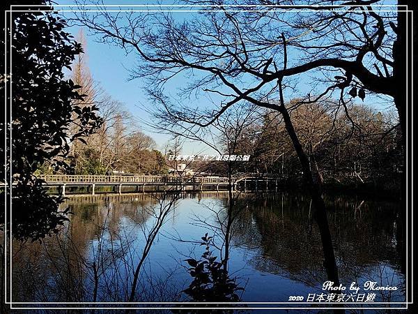 日本東京。井之頭恩賜公園(28).jpg