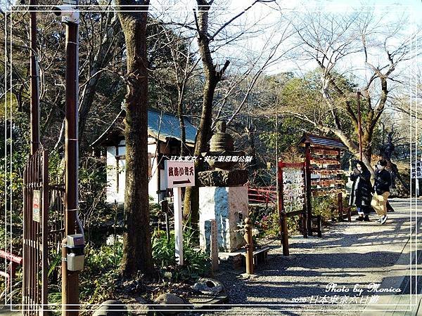 日本東京。井之頭恩賜公園(30).jpg