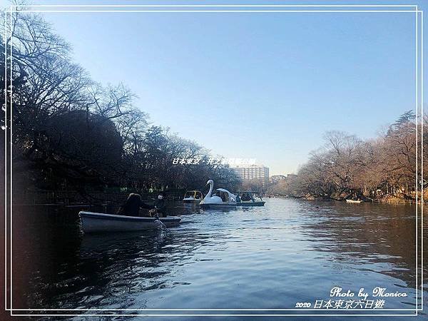 日本東京。井之頭恩賜公園(34).jpg