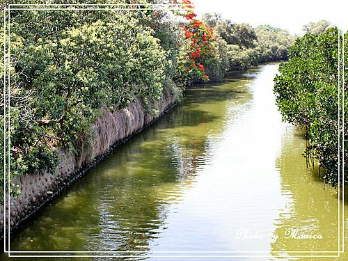 台西生態文化園區(7).jpg