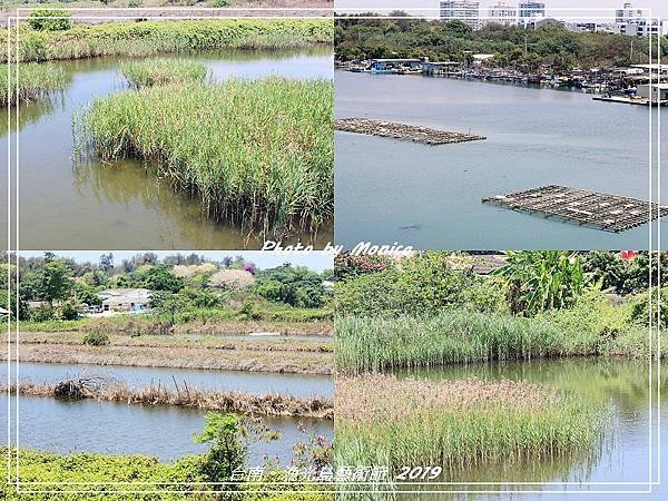 漁光島藝術節 2019(34).jpg